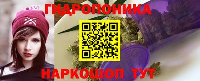 jwh Краснознаменск