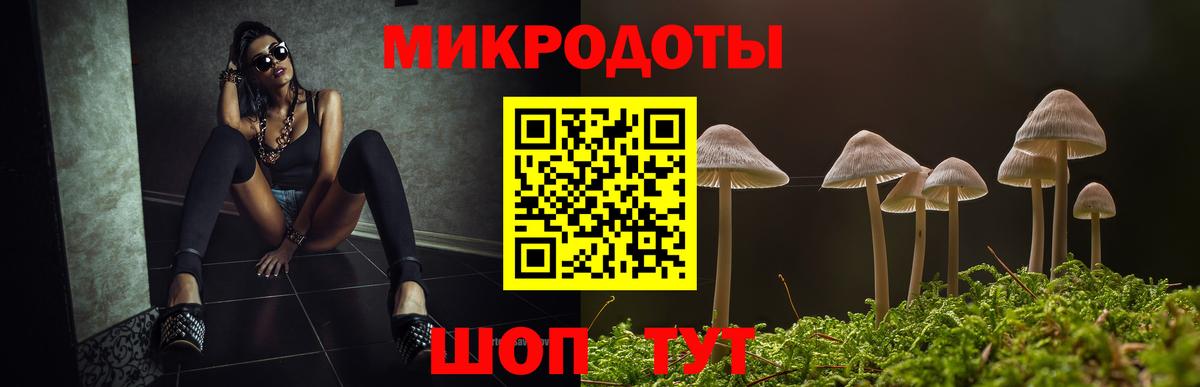 Галлюциногенные грибы ЛСД Зеленодольск